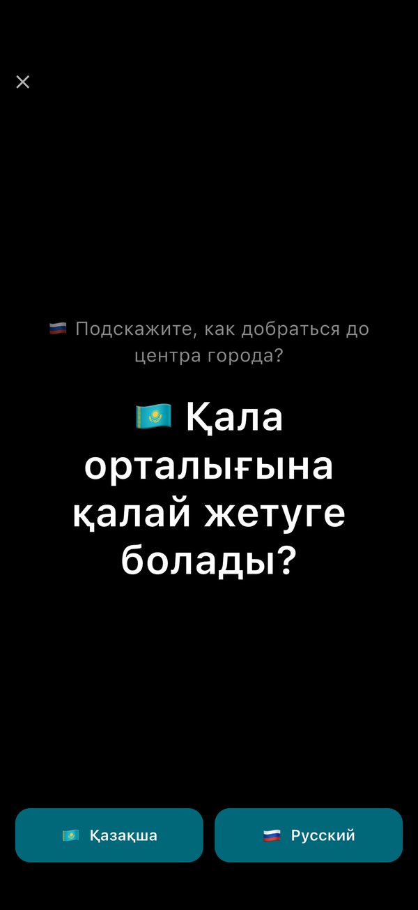 Subtitle mode: the translation in large text